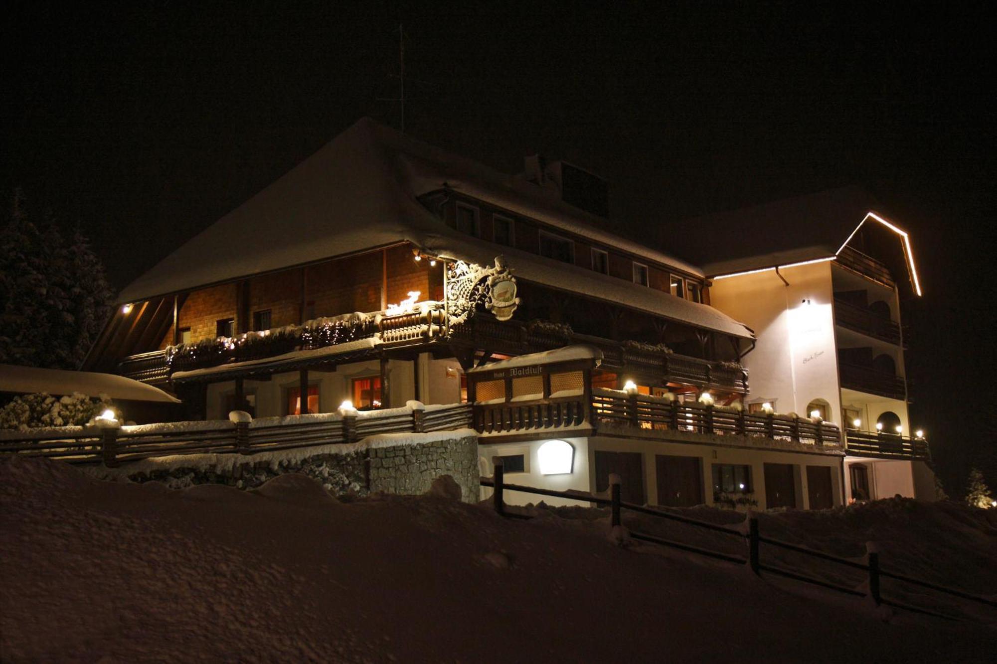 Parkhotel Waldlust Häusern エクステリア 写真